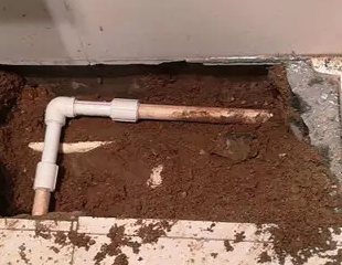 三明测漏水哪家好