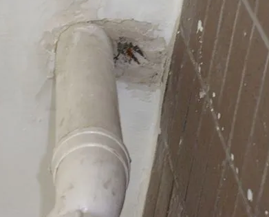 三明漏水检测哪家好